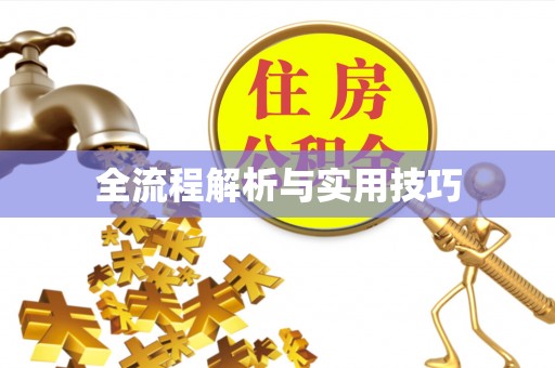 临湘全流程解析与实用技巧