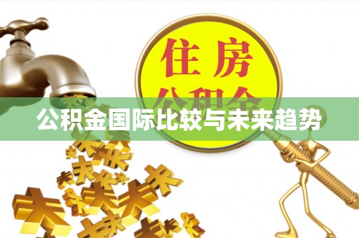 临湘公积金国际比较与未来趋势