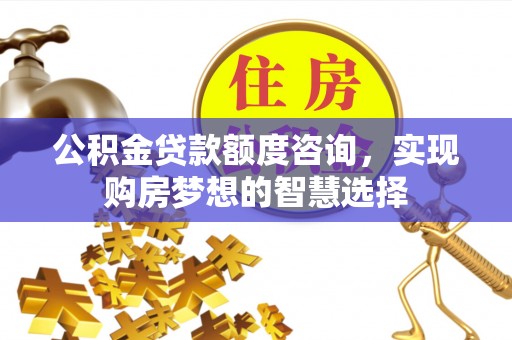 临湘公积金贷款额度咨询，实现购房梦想的智慧选择