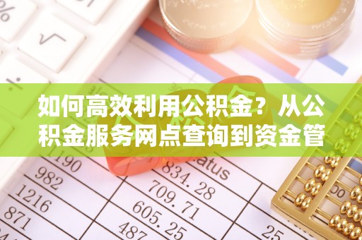 临湘如何高效利用公积金？从公积金服务网点查询到资金管理全攻略