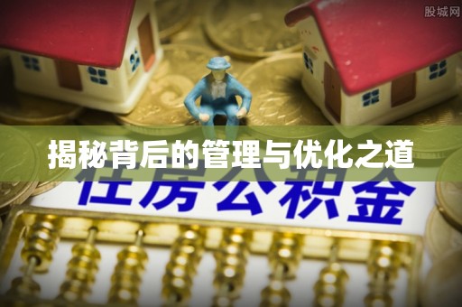 临湘揭秘背后的管理与优化之道