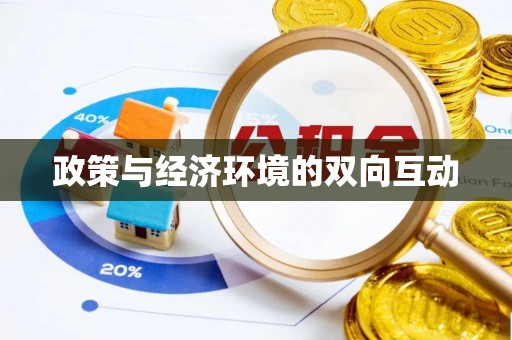临湘政策与经济环境的双向互动