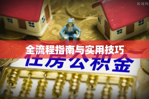 临湘全流程指南与实用技巧